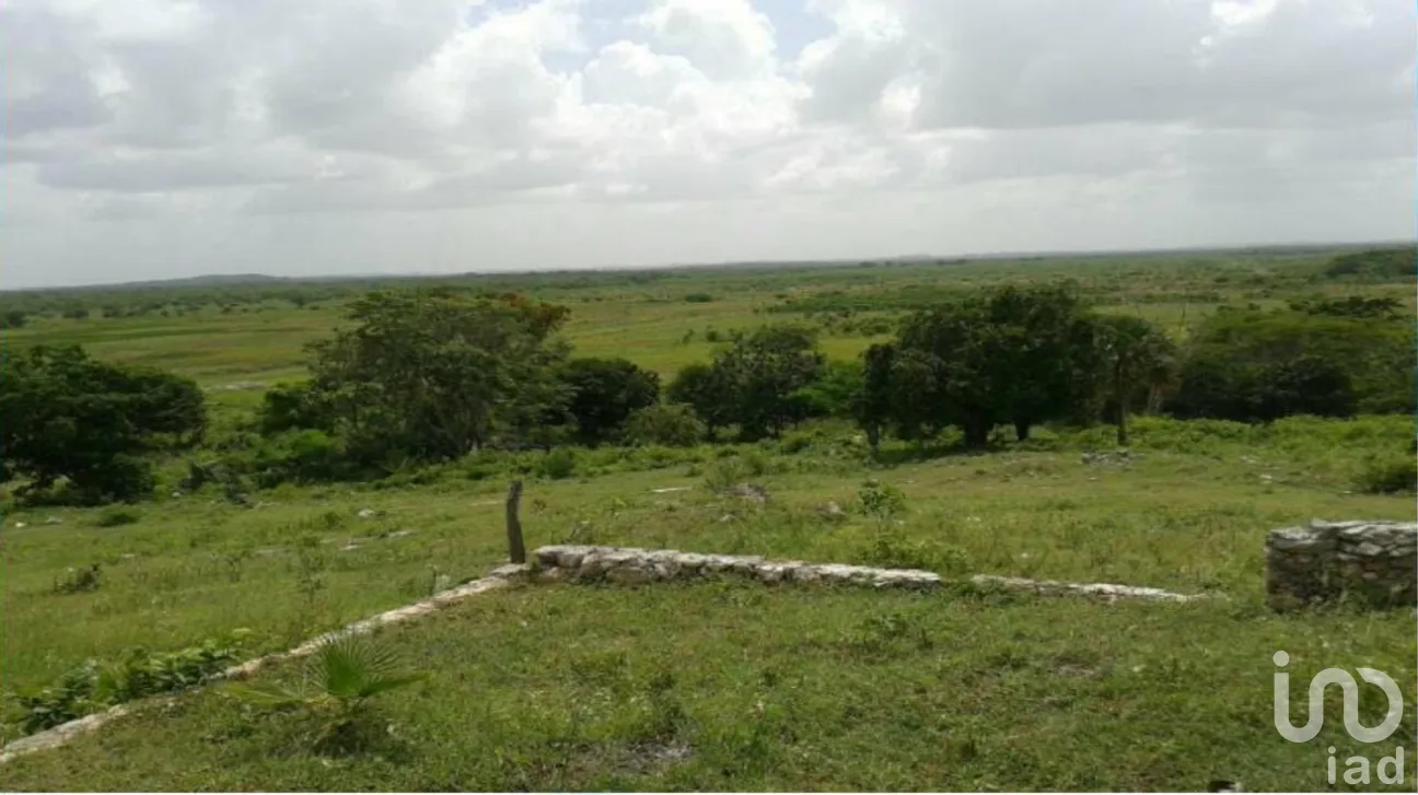 Terreno en Venta en Champotón Centro, Champotón, Campeche | NEX-275376 | iad México | Foto 6 de 15