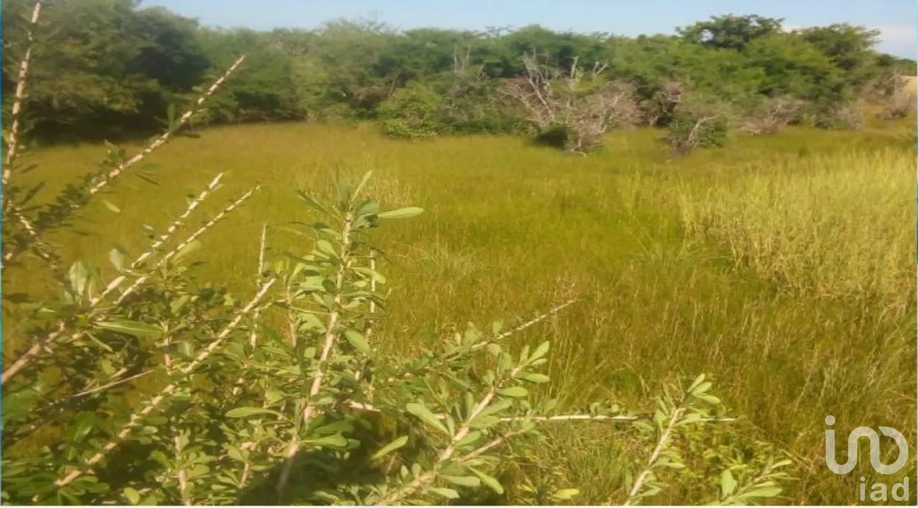 Terreno en Venta en Champotón Centro, Champotón, Campeche | NEX-275376 | iad México | Foto 8 de 15