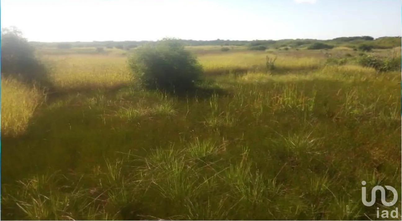 Terreno en Venta en Champotón Centro, Champotón, Campeche | NEX-275376 | iad México | Foto 9 de 15