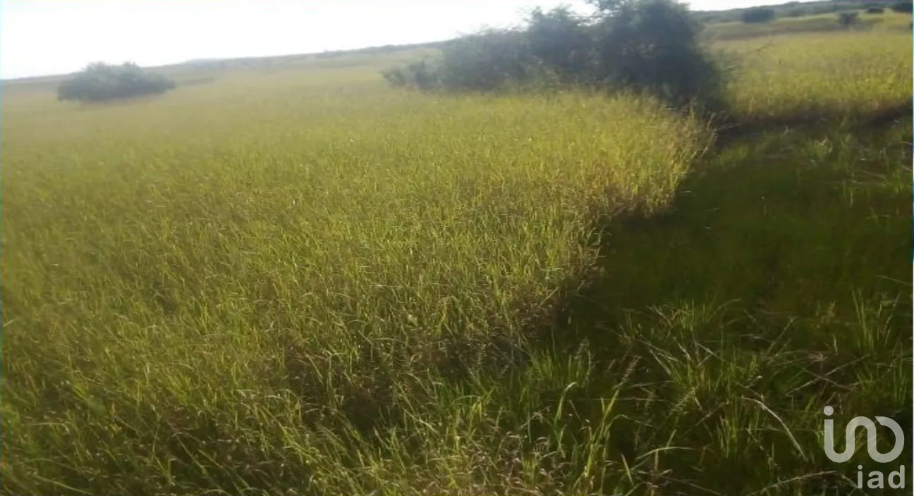 Terreno en Venta en Champotón Centro, Champotón, Campeche | NEX-275376 | iad México | Foto 10 de 15
