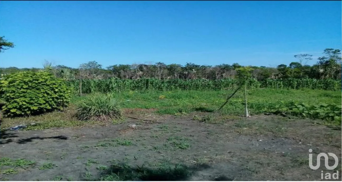 Terreno en Venta en Champotón Centro, Champotón, Campeche | NEX-275376 | iad México | Foto 1 de 15