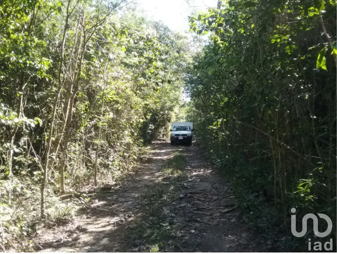 Terreno en Venta en Xpujil, Calakmul, Campeche | NEX-275377 | iad México | Foto 2 de 15