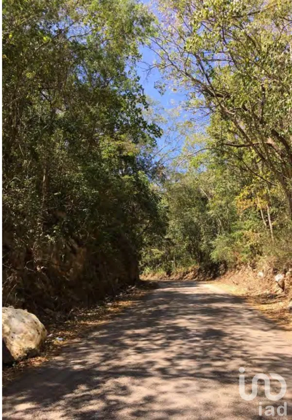 Terreno en Venta en Xpujil, Calakmul, Campeche | NEX-275377 | iad México | Foto 11 de 15