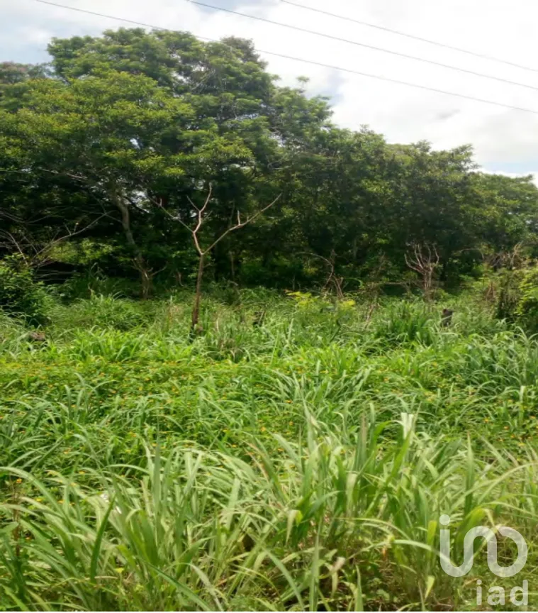 Terreno en Venta en Xpujil, Calakmul, Campeche | NEX-275377 | iad México | Foto 13 de 15