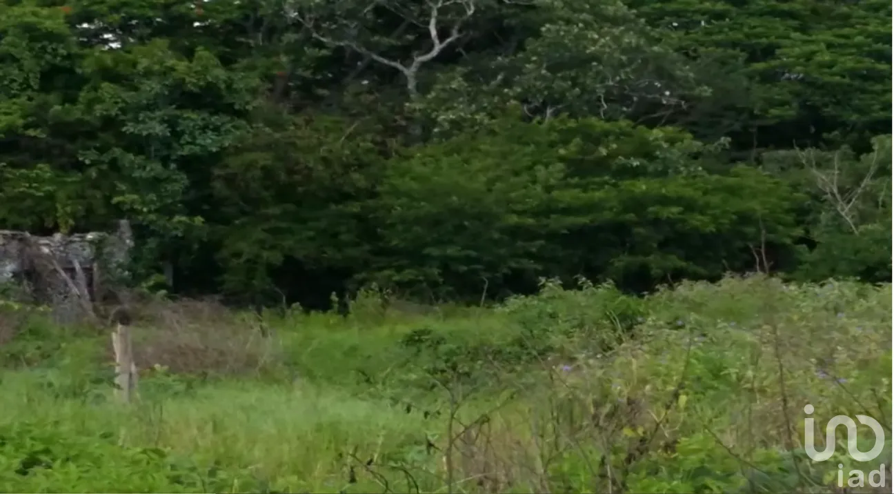 Terreno en Venta en Xpujil, Calakmul, Campeche | NEX-275377 | iad México | Foto 14 de 15
