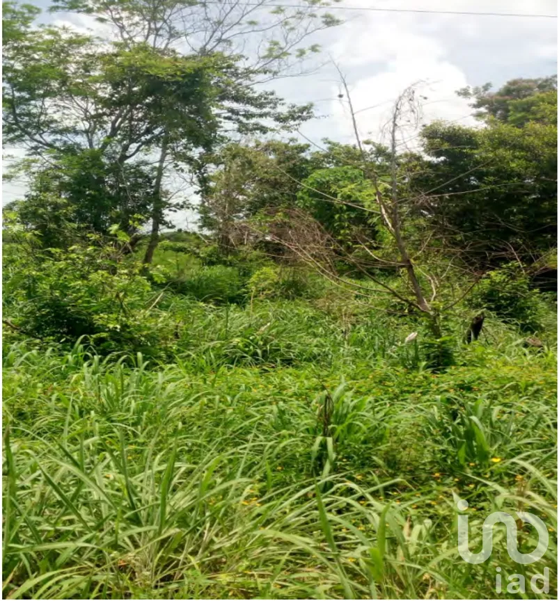 Terreno en Venta en Xpujil, Calakmul, Campeche | NEX-275377 | iad México | Foto 9 de 15