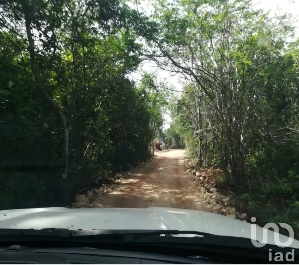 Terreno en Venta en Xpujil, Calakmul, Campeche | NEX-275377 | iad México | Foto 10 de 15