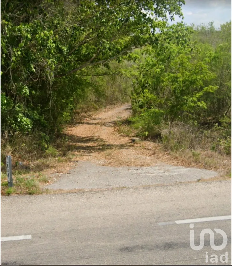 Terreno en Venta en Xpujil, Calakmul, Campeche | NEX-275377 | iad México | Foto 1 de 15