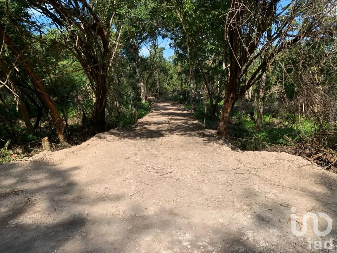 Terreno en Venta en Champotón Centro, Champotón, Campeche | NEX-275387 | iad México | Foto 4 de 7