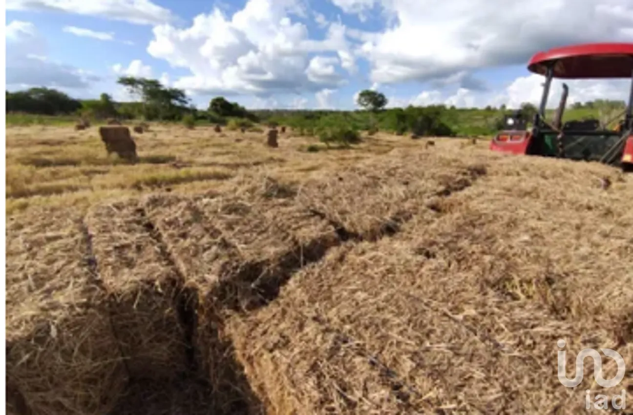 Terreno en Venta en Becanchen, Tekax, Yucatán | NEX-275408 | iad México | Foto 2 de 4