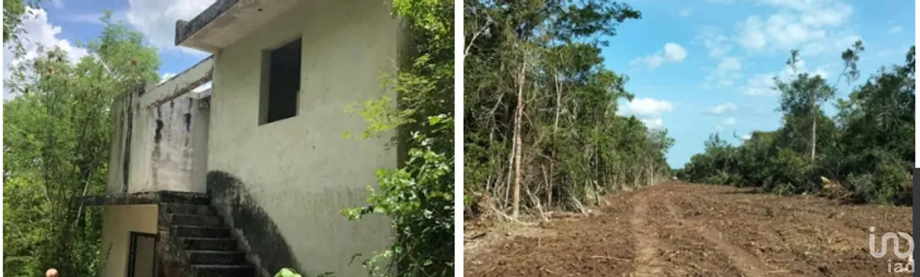 Terreno en Venta en Becanchen, Tekax, Yucatán | NEX-275408 | iad México | Foto 3 de 4