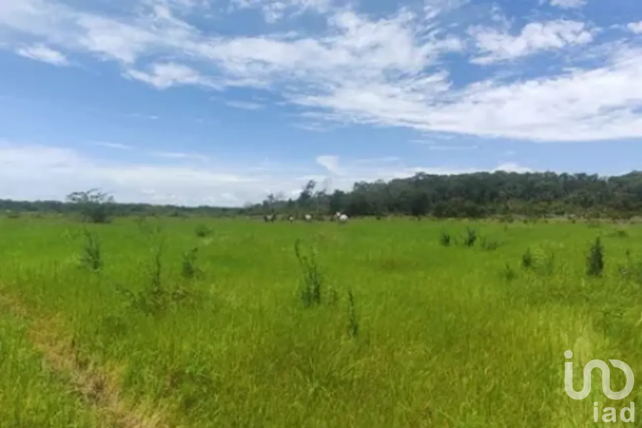 Terreno en Venta en Becanchen, Tekax, Yucatán | NEX-275408 | iad México | Foto 4 de 4