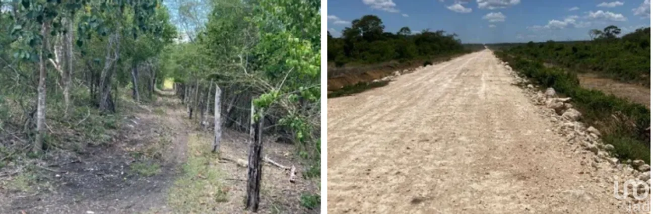 Terreno en Venta en Becanchen, Tekax, Yucatán | NEX-275409 | iad México | Foto 2 de 4