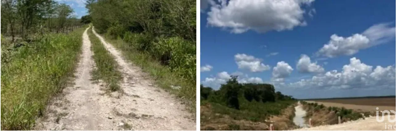 Terreno en Venta en Becanchen, Tekax, Yucatán | NEX-275409 | iad México | Foto 3 de 4