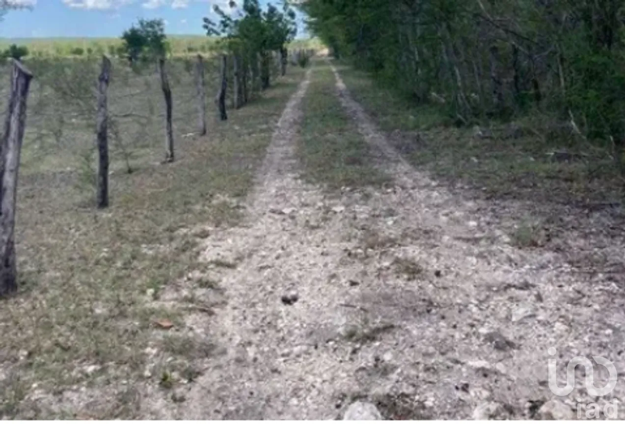 Terreno en Venta en Becanchen, Tekax, Yucatán | NEX-275409 | iad México | Foto 4 de 4