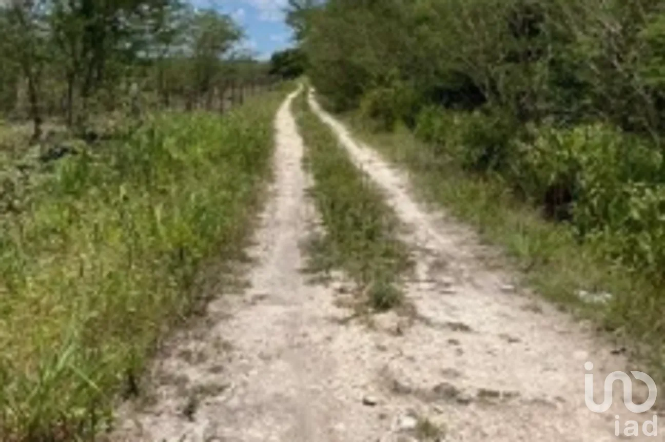 Terreno en Venta en Becanchen, Tekax, Yucatán | NEX-275411 | iad México | Foto 2 de 2