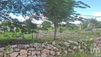 NEX-275419 - Terreno en Venta en Izamal, CP 97540, Yucatán.