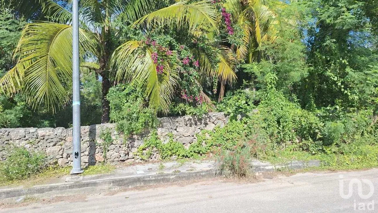 Terreno en Venta en Izamal, Izamal, Yucatán | NEX-275420 | iad México | Foto 1 de 1