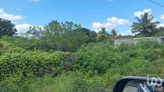 NEX-275421 - Terreno en Venta en Izamal, CP 97540, Yucatán.