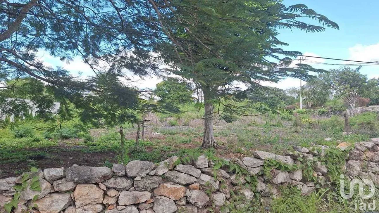 Terreno en Venta en Izamal, Izamal, Yucatán | NEX-275422 | iad México | Foto 1 de 3