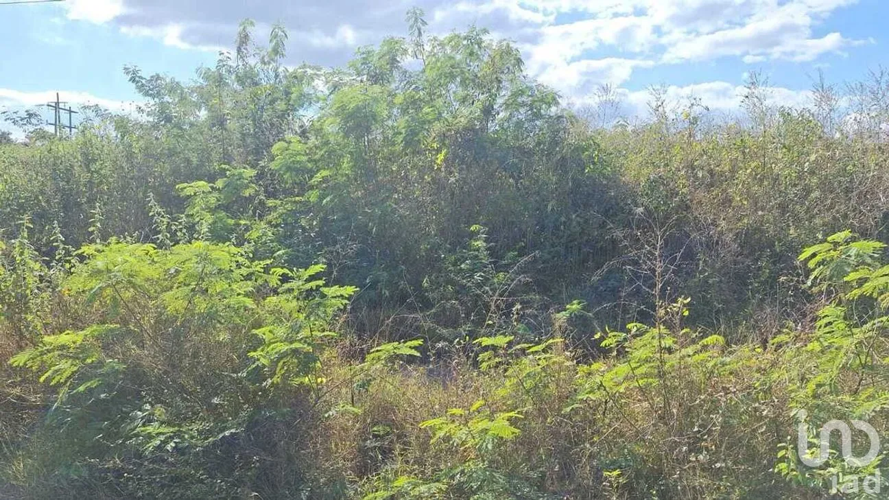 Terreno en Venta en Izamal, Izamal, Yucatán | NEX-275423 | iad México | Foto 3 de 3