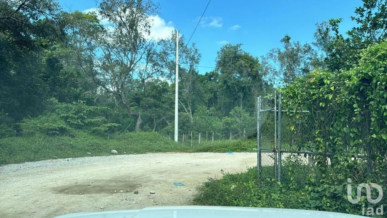 Terreno en Venta en Palenque Centro, Palenque, Chiapas | NEX-275425 | iad México | Foto 1 de 1