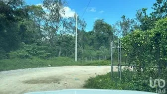 NEX-275425 - Terreno en Venta en Palenque Centro, CP 29960, Chiapas.