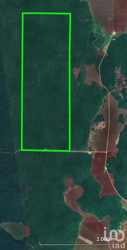 Terreno en Venta en Hopelchen Centro, Hopelchén, Campeche | NEX-275427 | iad México | Foto 2 de 6