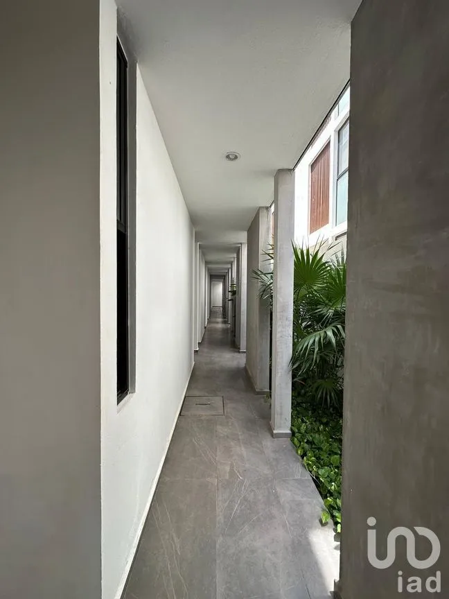 Departamento en Renta en Santa Gertrudis Copo, Mérida, Yucatán | NEX-275428 | iad México | Foto 23 de 24