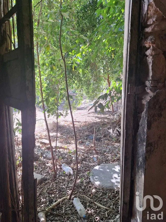 Casa en Venta en Mérida Centro, Mérida, Yucatán | NEX-275430 | iad México | Foto 6 de 14