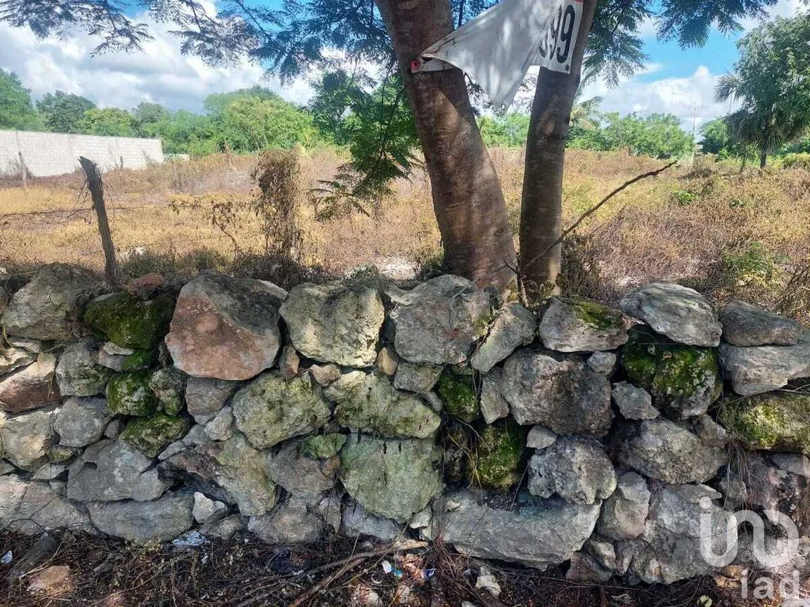 Terreno en Venta en Izamal, Izamal, Yucatán | NEX-275432 | iad México | Foto 2 de 2