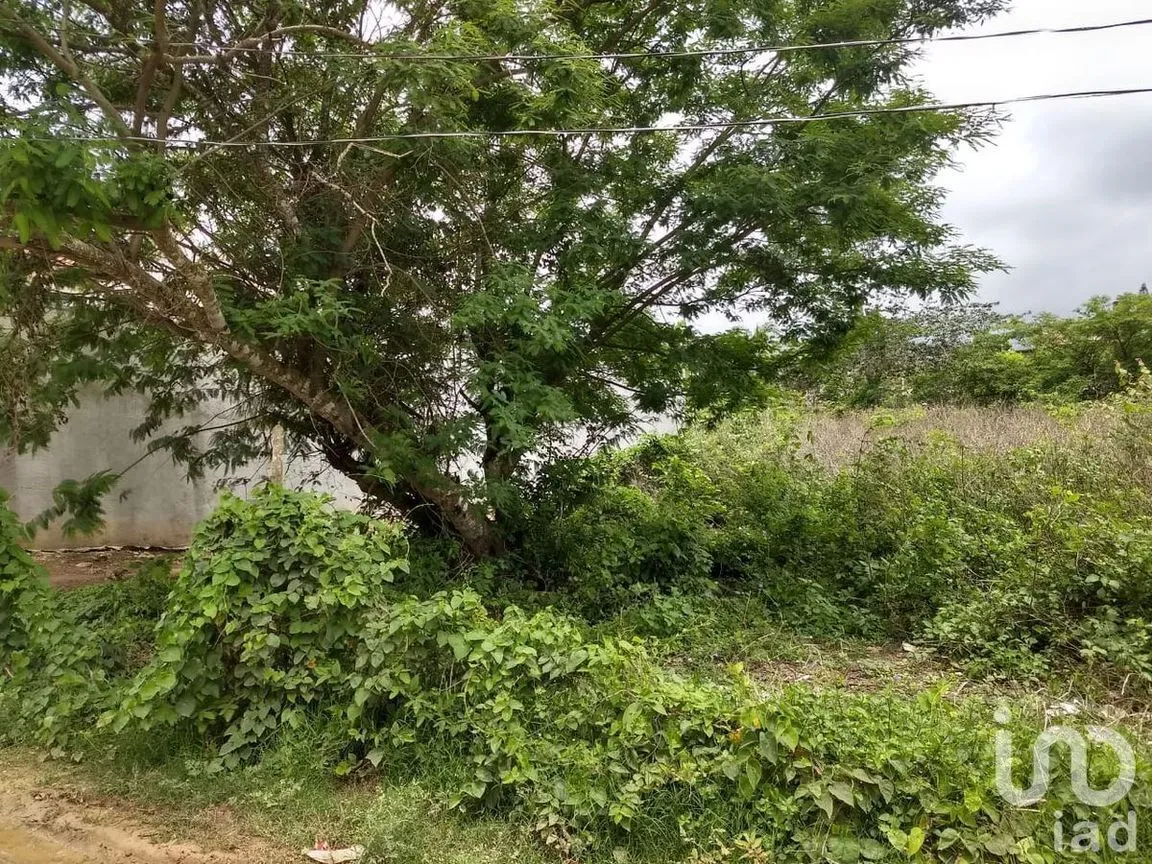 Terreno en Venta en Berriozabal Centro, Berriozábal, Chiapas