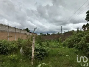 NEX-114325 - Terreno en Venta en Berriozabal Centro, CP 29130, Chiapas.