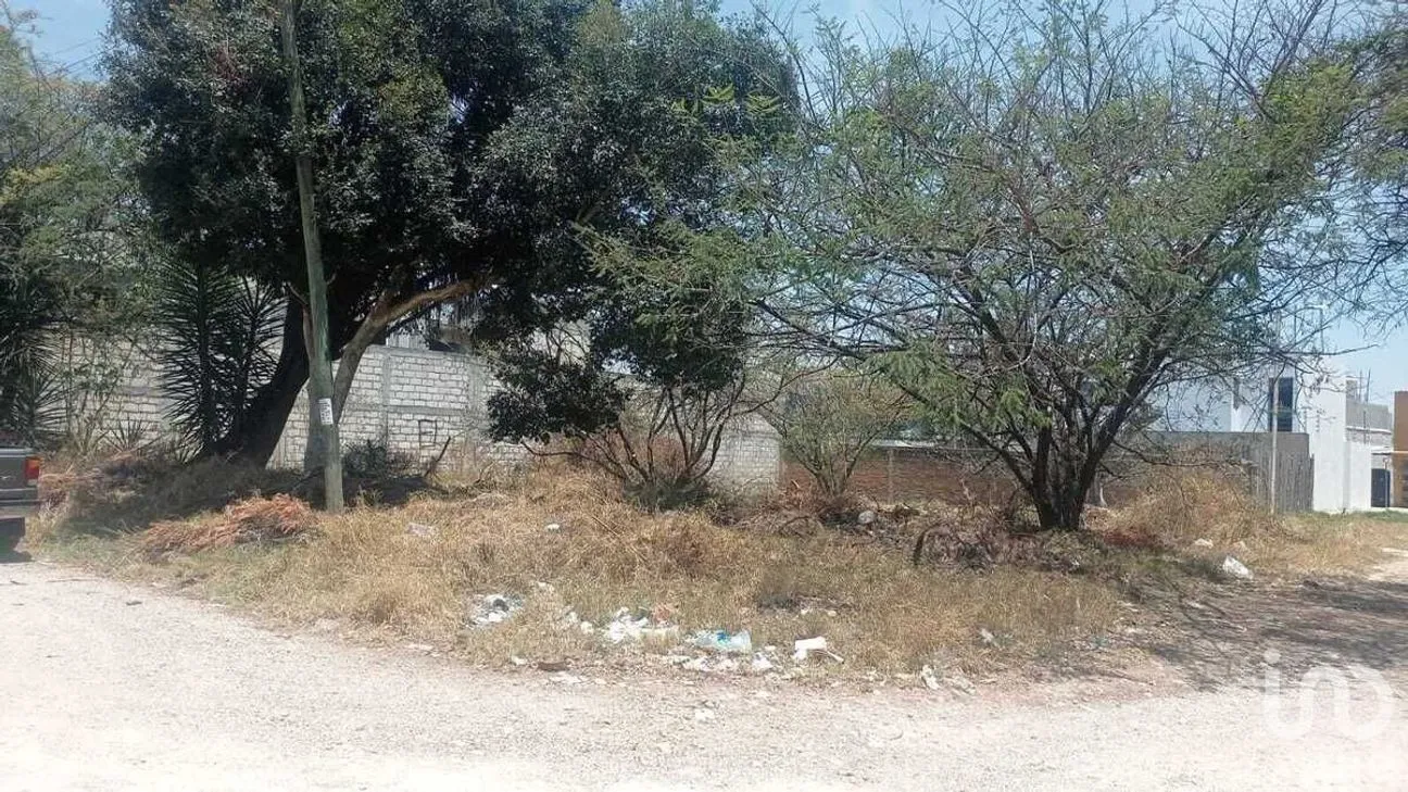 Terreno en Venta en Las Flores, Comitán de Domínguez, Chiapas | NEX-231578 | iad México | Foto 14 de 16