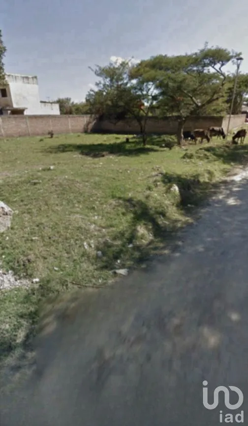 Terreno en Venta en Las Flores, Comitán de Domínguez, Chiapas | NEX-231578 | iad México | Foto 4 de 16