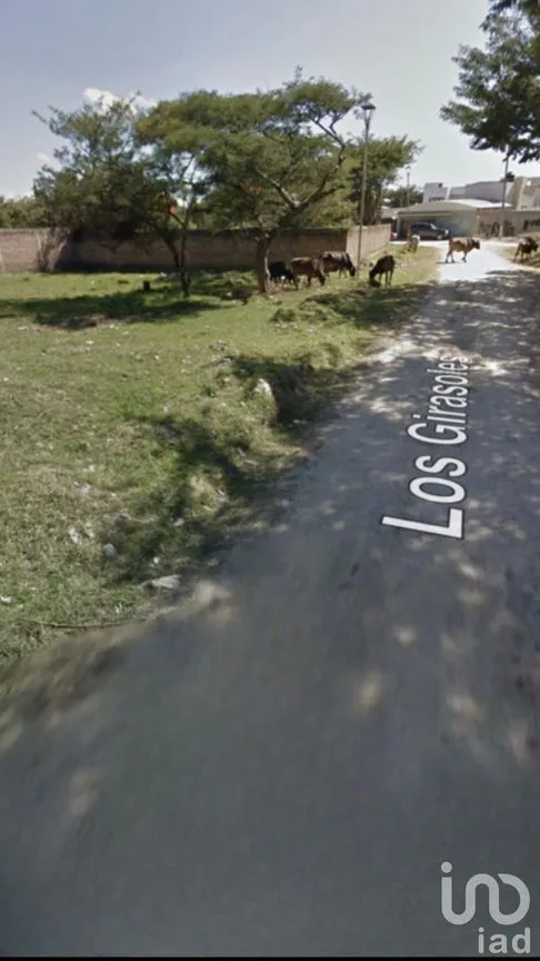 Terreno en Venta en Las Flores, Comitán de Domínguez, Chiapas | NEX-231578 | iad México | Foto 10 de 16