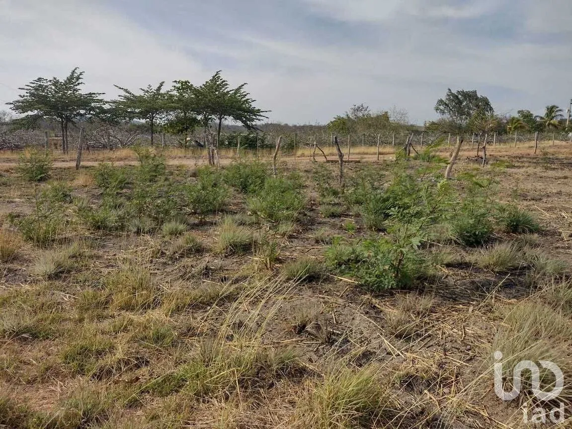 Terreno en Venta en Emiliano Zapata, Tuxtla Gutiérrez, Chiapas | NEX-231581 | iad México | Foto 8 de 17