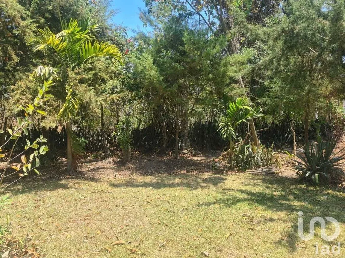 Terreno en Venta en San Miguel, Berriozábal, Chiapas | NEX-231585 | iad México | Foto 4 de 9