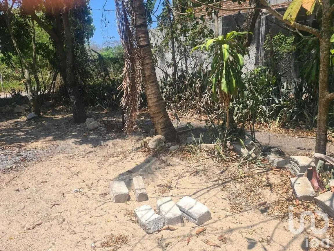 Terreno en Venta en San Miguel, Berriozábal, Chiapas | NEX-231585 | iad M éxico | Foto 5 de 9
