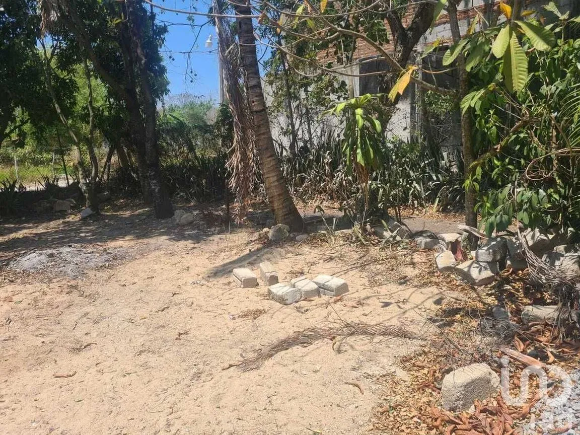Terreno en Venta en San Miguel, Berriozábal, Chiapas | NEX-231585 | iad México | Foto 7 de 9