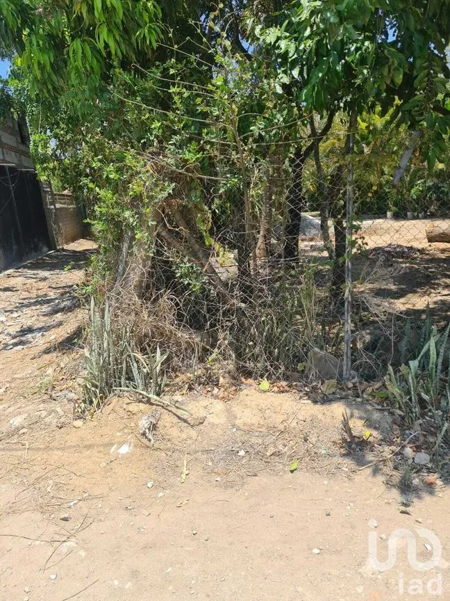 Terreno en Venta en San Miguel, Berriozábal, Chiapas | NEX-231585 | iad México | Foto 9 de 9