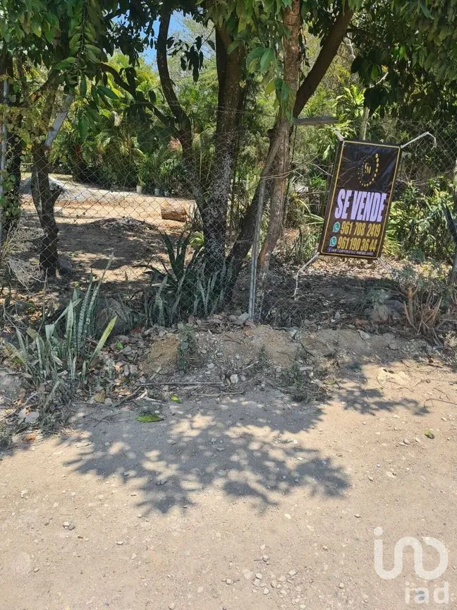 Terreno en Venta en San Miguel, Berriozábal, Chiapas | NEX-231585 | iad México | Foto 1 de 9