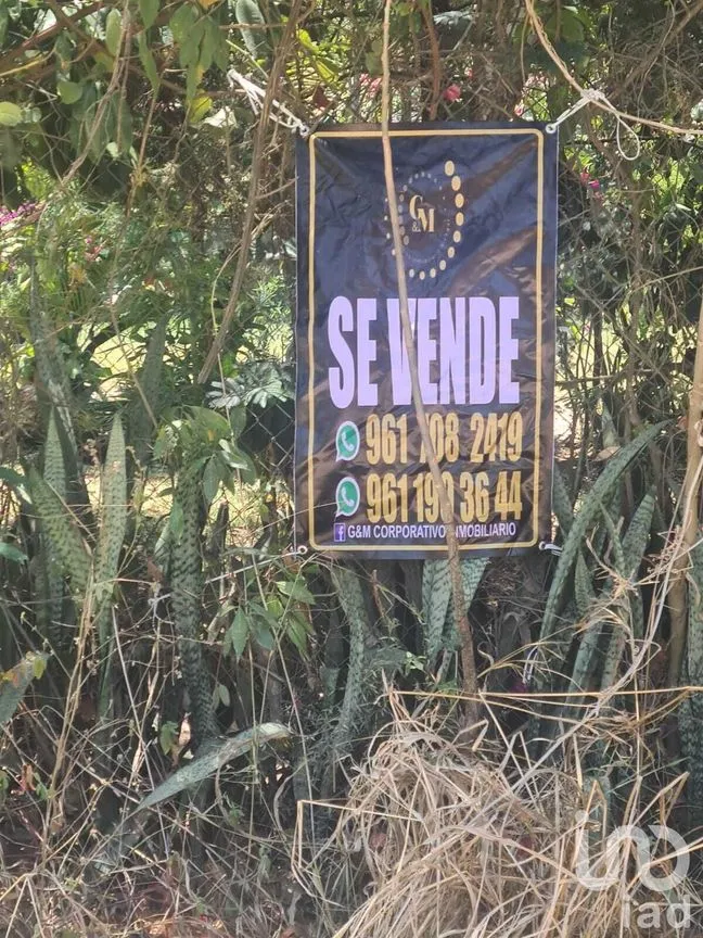 Terreno en Venta en San Miguel, Berriozábal, Chiapas | NEX-231586 | iad México | Foto 2 de 9