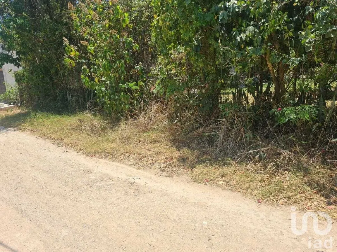 Terreno en Venta en San Miguel, Berriozábal, Chiapas | NEX-231586 | iad México | Foto 3 de 9