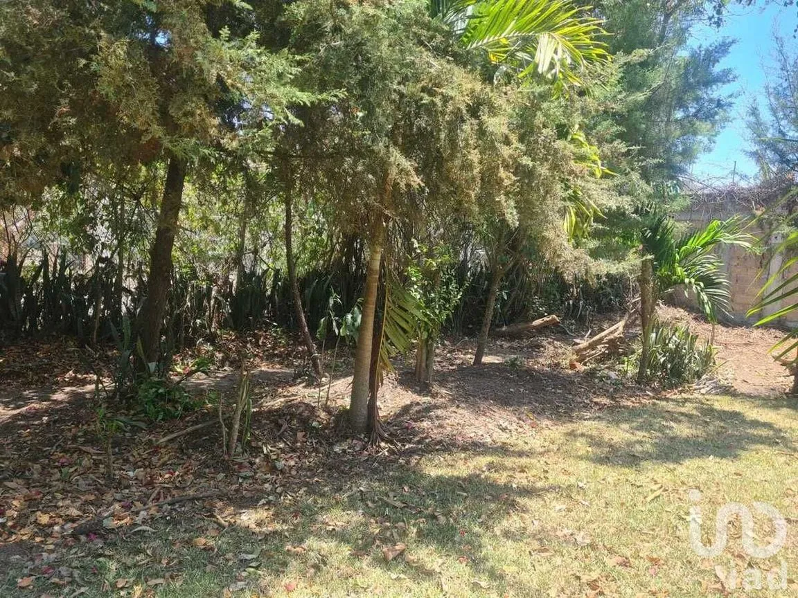 Terreno en Venta en San Miguel, Berriozábal, Chiapas | NEX-231586 | iad México | Foto 7 de 9