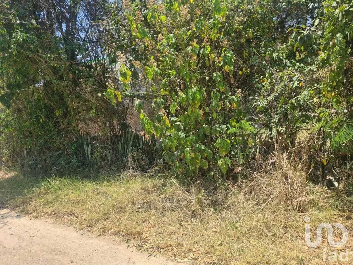Terreno en Venta en San Miguel, Berriozábal, Chiapas | NEX-231586 | iad México | Foto 8 de 9