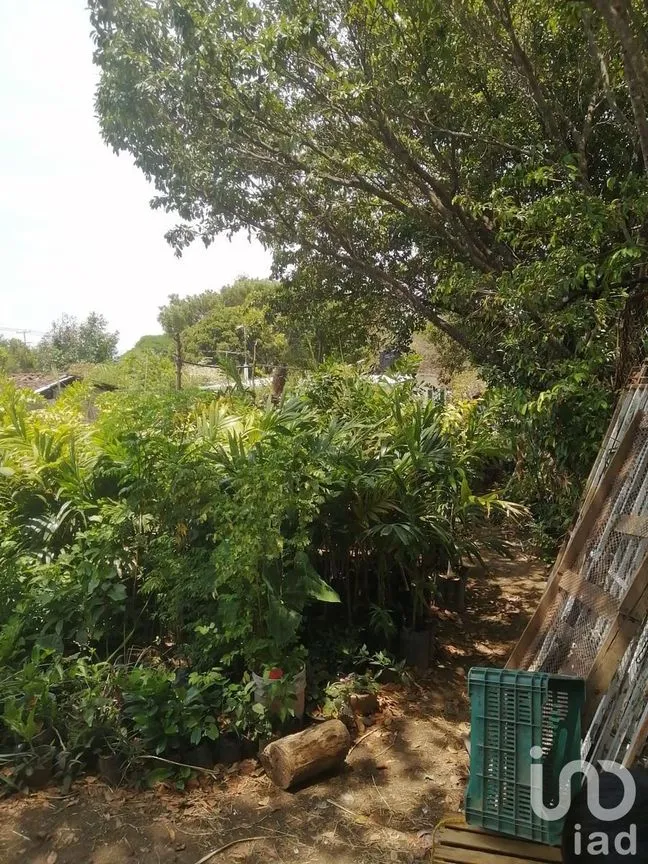 Terreno en Venta en Buenos Aires, Tuxtla Gutiérrez, Chiapas | NEX-231590 | iad M éxico | Foto 5 de 8