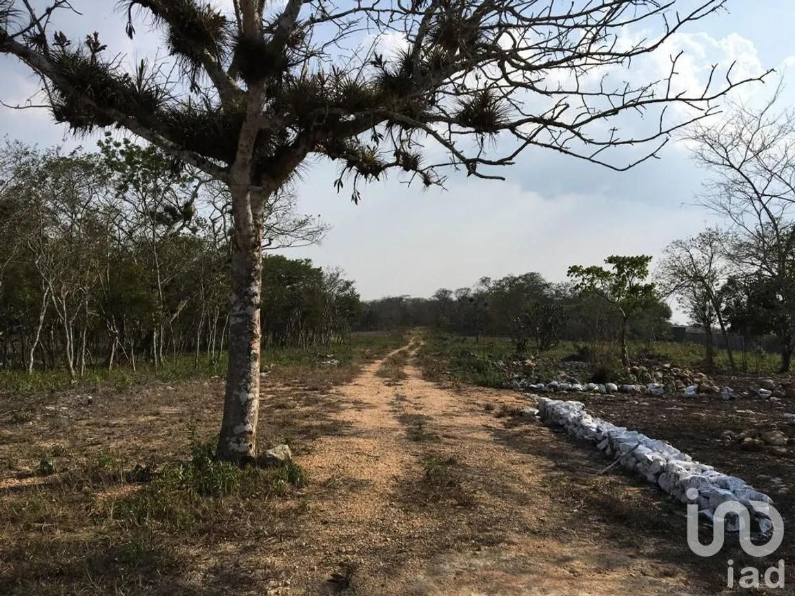 Terreno en Venta en Ocozocoautla de Espinosa Centro, Ocozocoautla de Espinosa, Chiapas | NEX-231591 | iad México | Foto 6 de 13