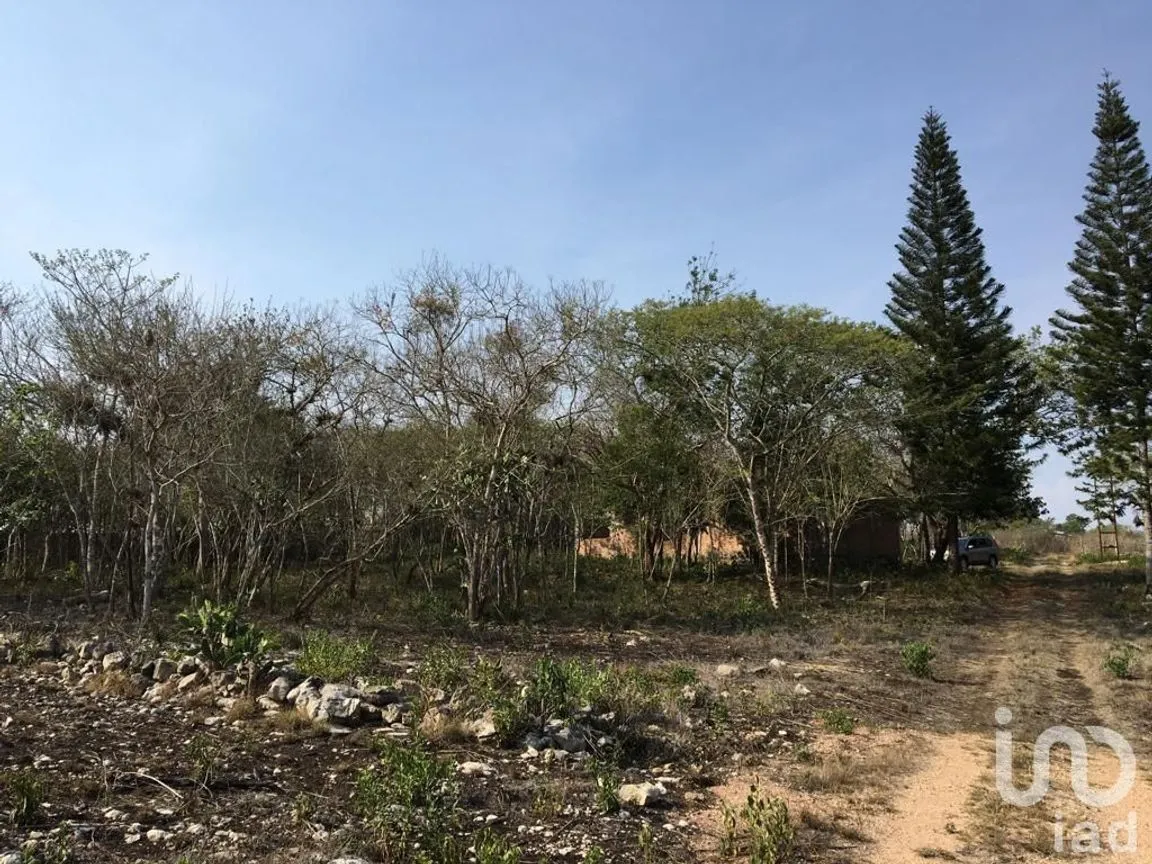Terreno en Venta en Ocozocoautla de Espinosa Centro, Ocozocoautla de Espinosa, Chiapas | NEX-231591 | iad México | Foto 10 de 13