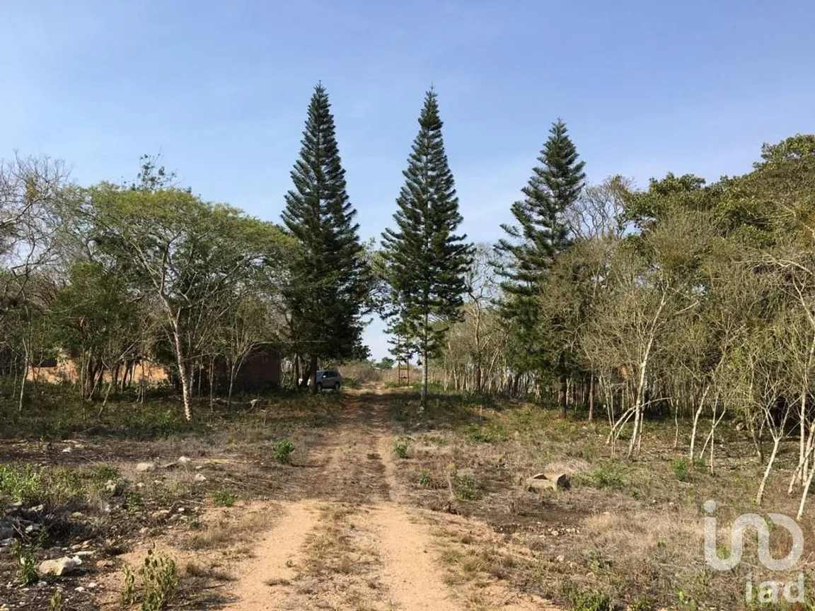 Terreno en Venta en Ocozocoautla de Espinosa Centro, Ocozocoautla de Espinosa, Chiapas | NEX-231591 | iad México | Foto 1 de 13